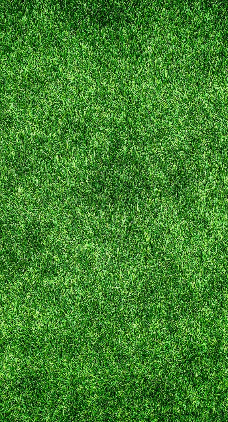 Eco-Friendly Sustainable Living